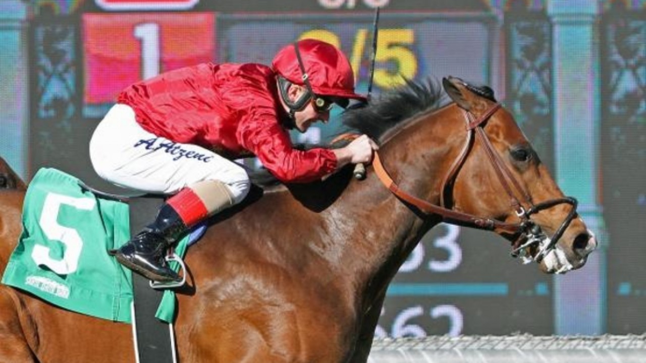 True Valour Is Now Breeders' Cup-Bound Image 2